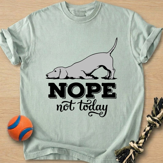 Nope Not Today T-Shirt โ Bay t-shirt