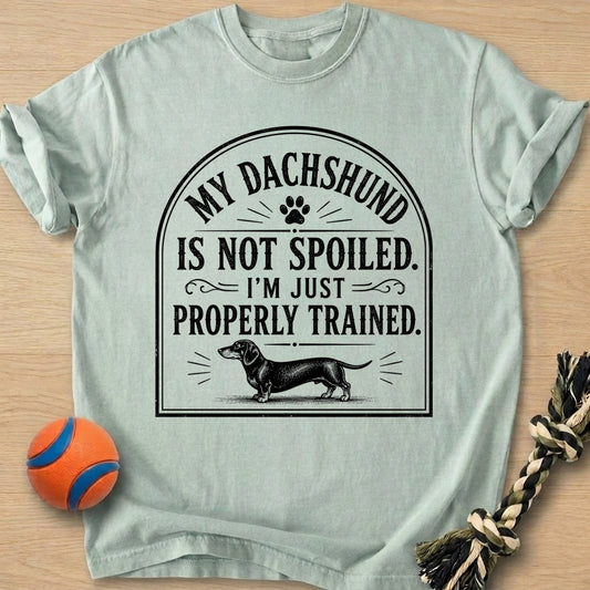 Properly Trained T-Shirt โ Bay t-shirt