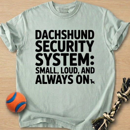 Security System T-Shirt โ Bay t-shirt