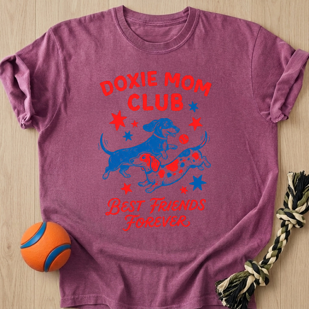 Friends Forever T-Shirt – Berry t-shirt