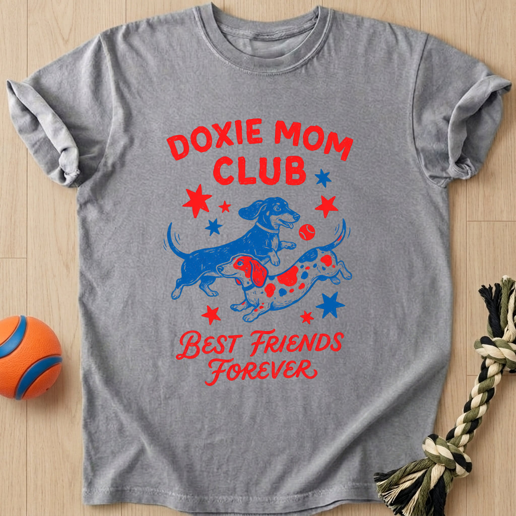 Friends Forever T-Shirt – Grey t-shirt