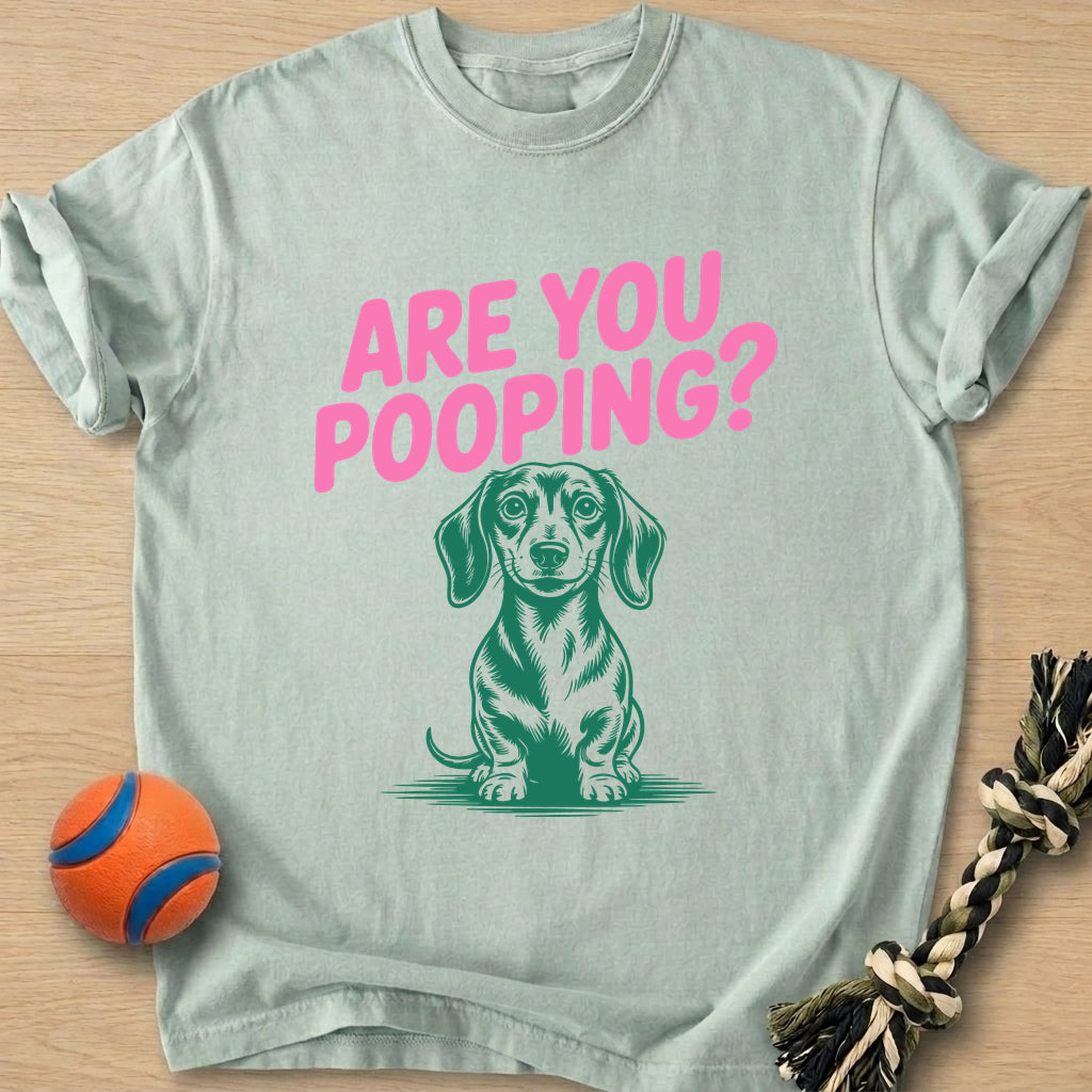 Are You Pooping T-Shirt – Bay t-shirt