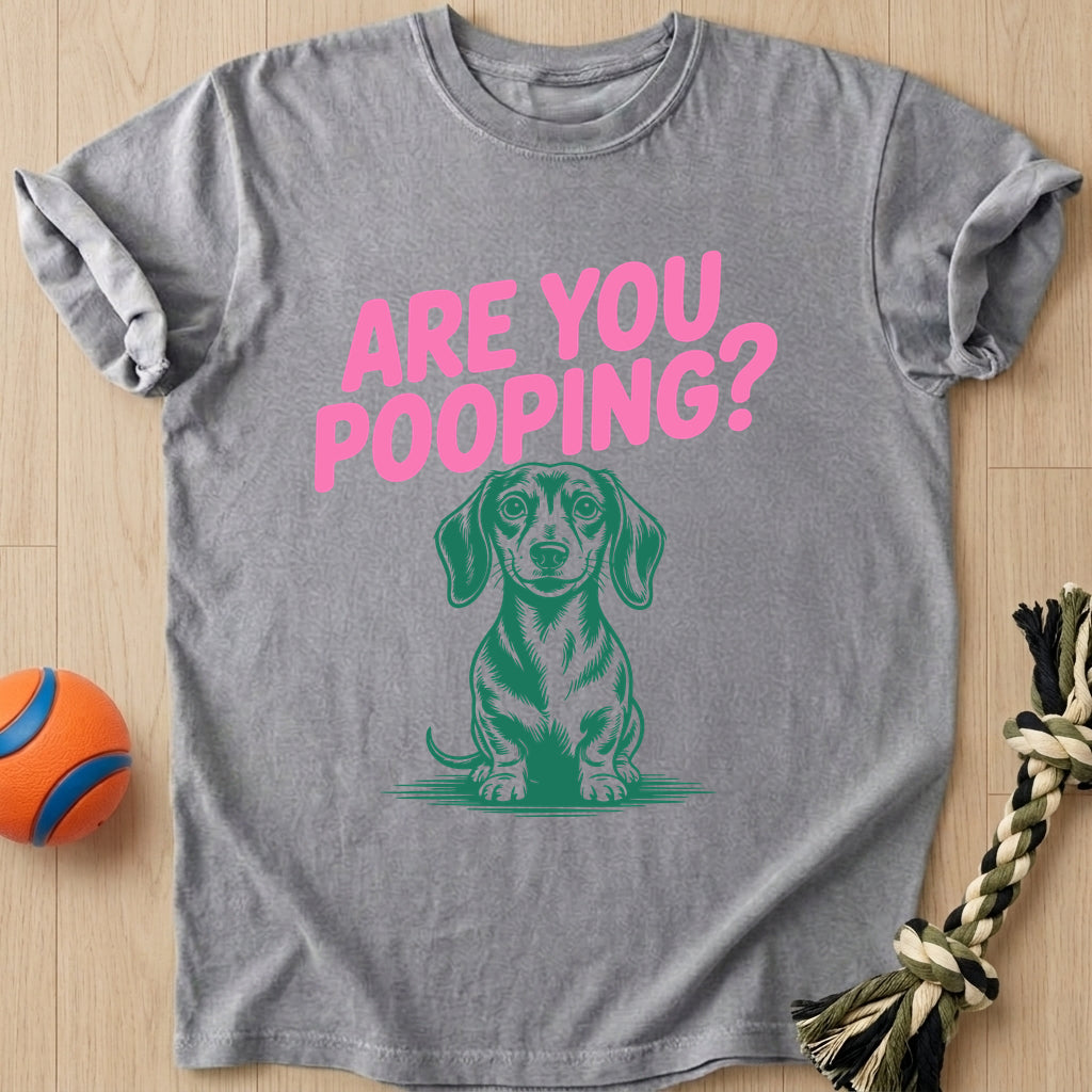 Are You Pooping T-Shirt – Grey t-shirt