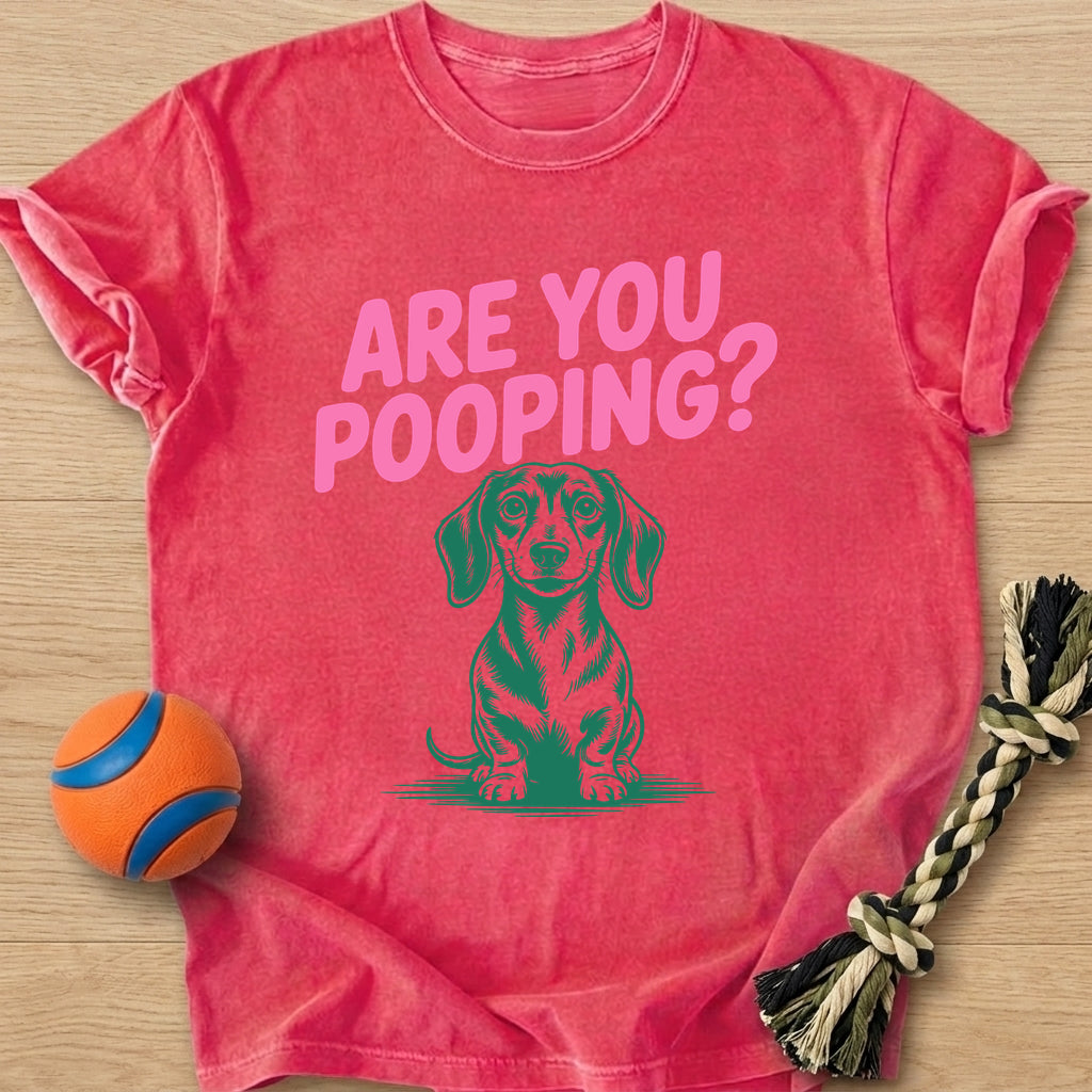 Are You Pooping T-Shirt – Watermelon t-shirt