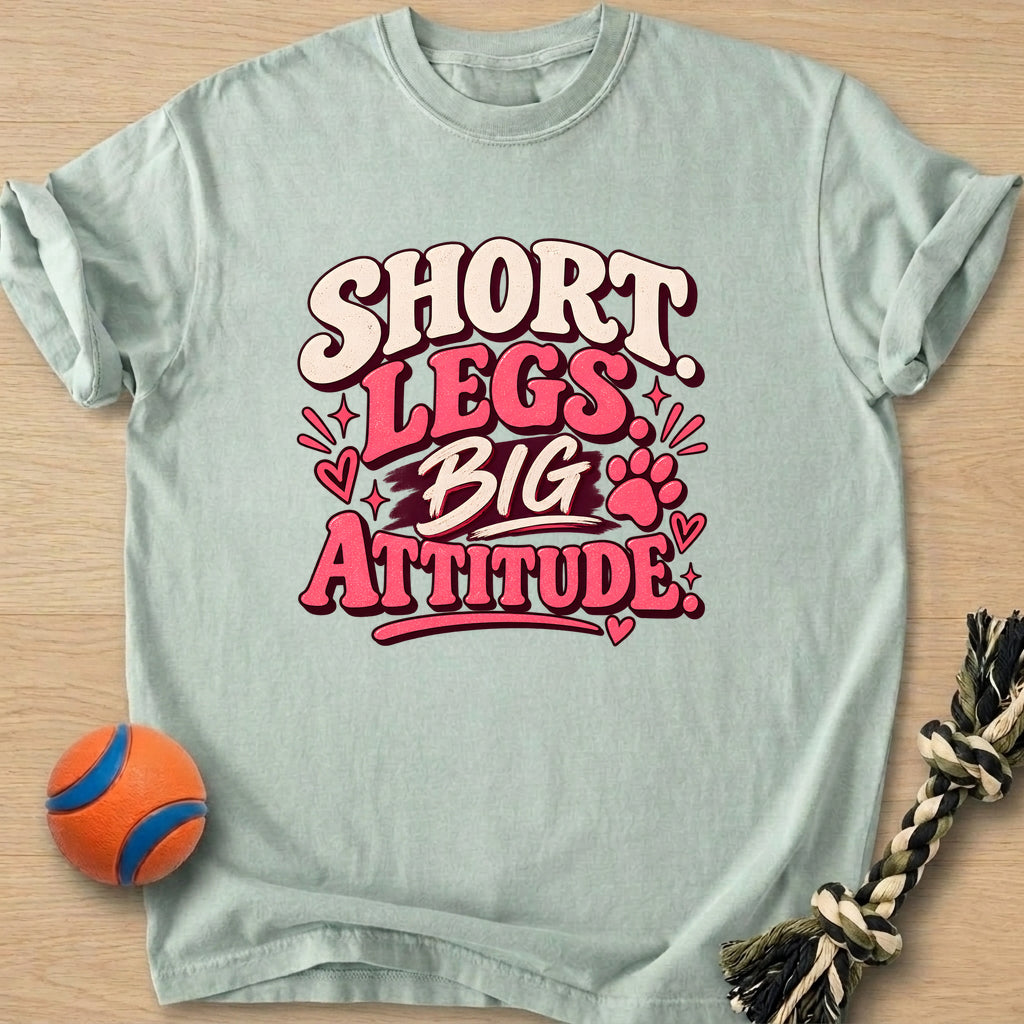 Big Attitude T-Shirt – Bay t-shirt