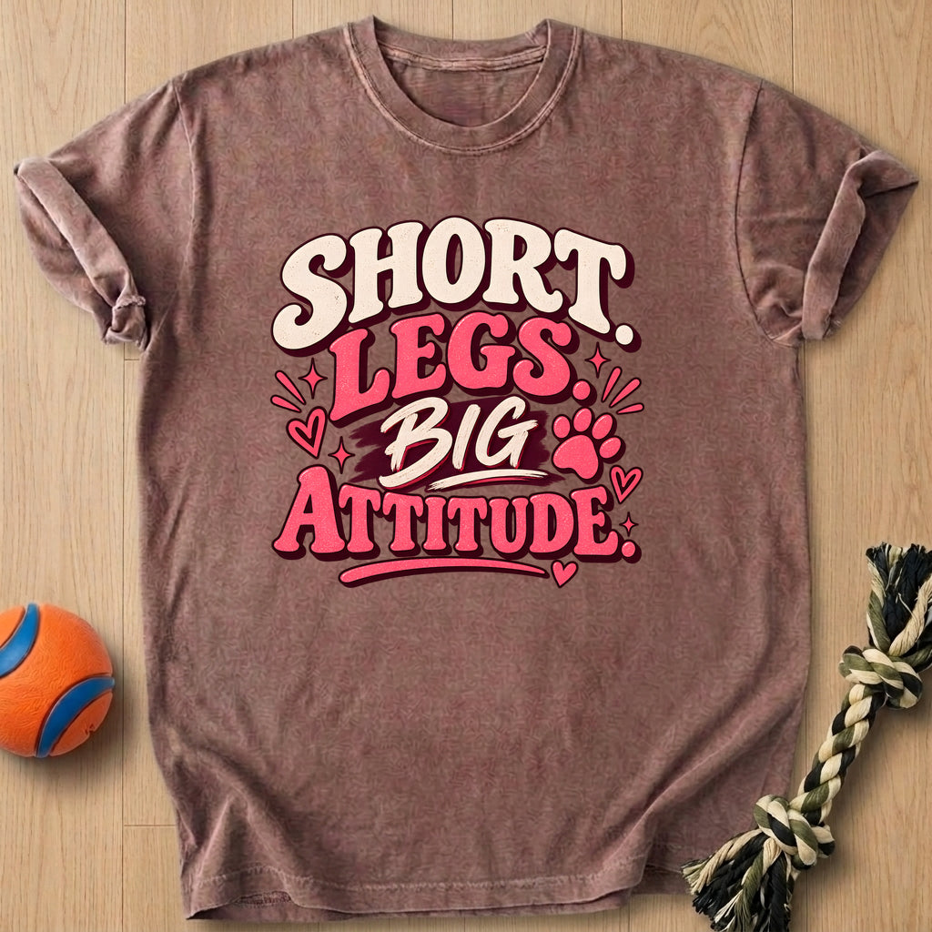 Big Attitude T-Shirt – Espresso t-shirt