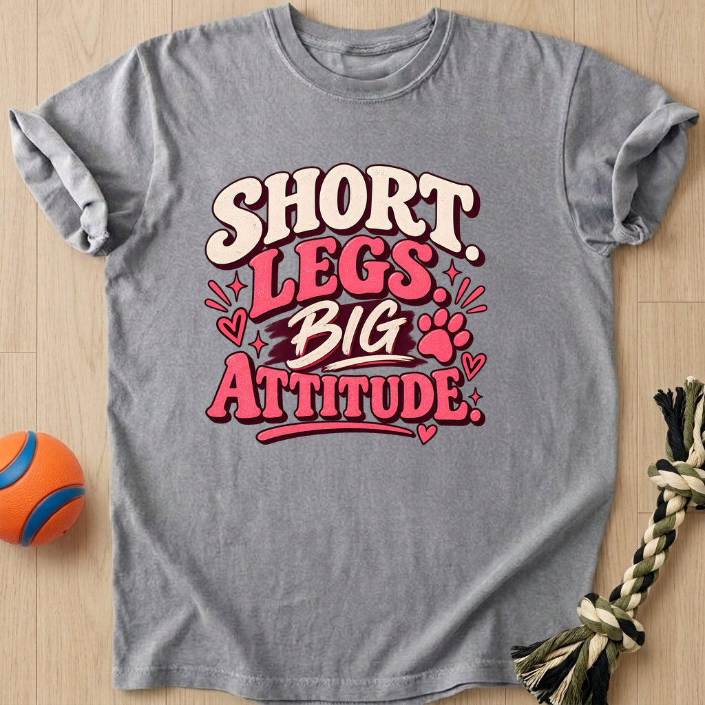 Big Attitude T-Shirt – Grey t-shirt