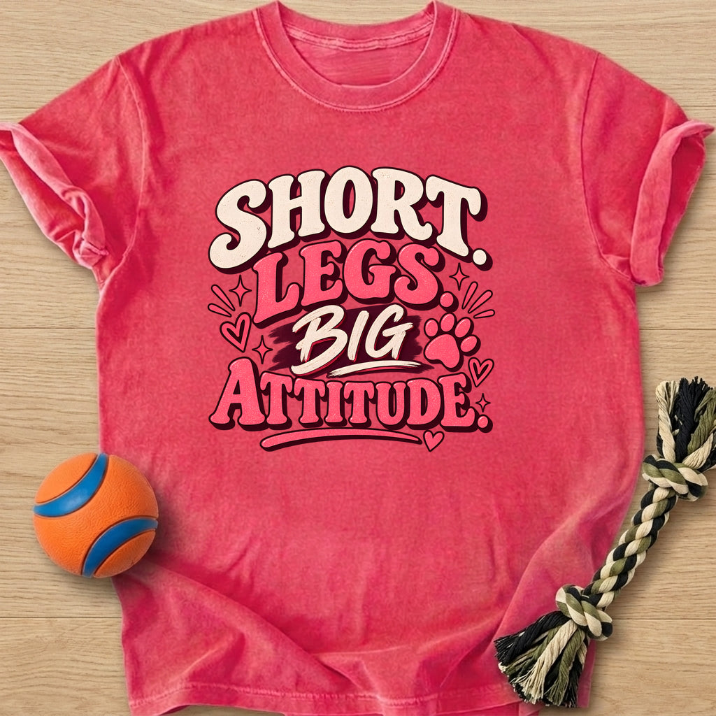 Big Attitude T-Shirt – Watermelon t-shirt