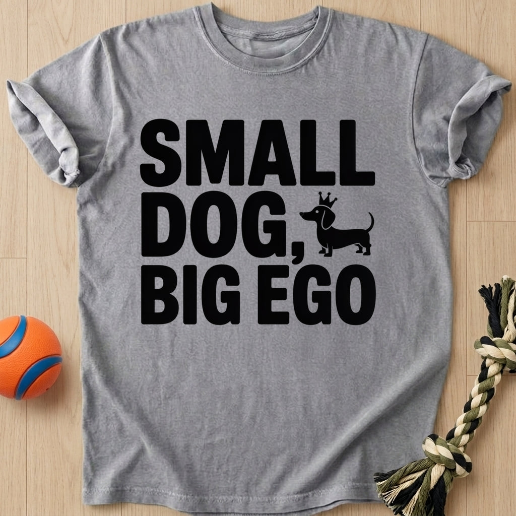 Big Ego T-Shirt – Grey t-shirt