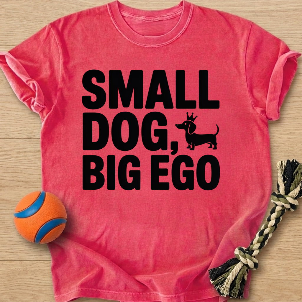 Big Ego T-Shirt – Watermelon t-shirt