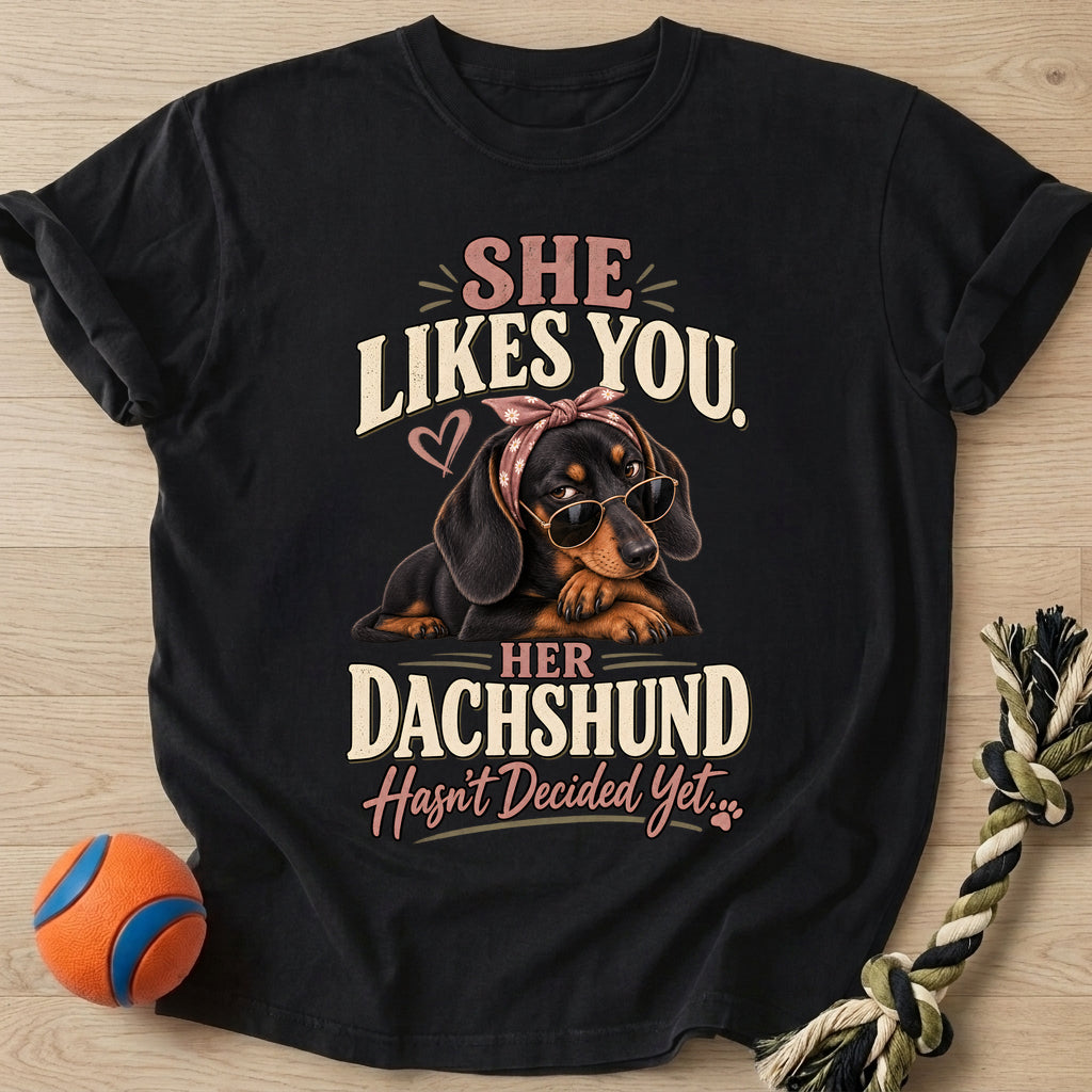 Doxie Decision T-Shirt – Black t-shirt