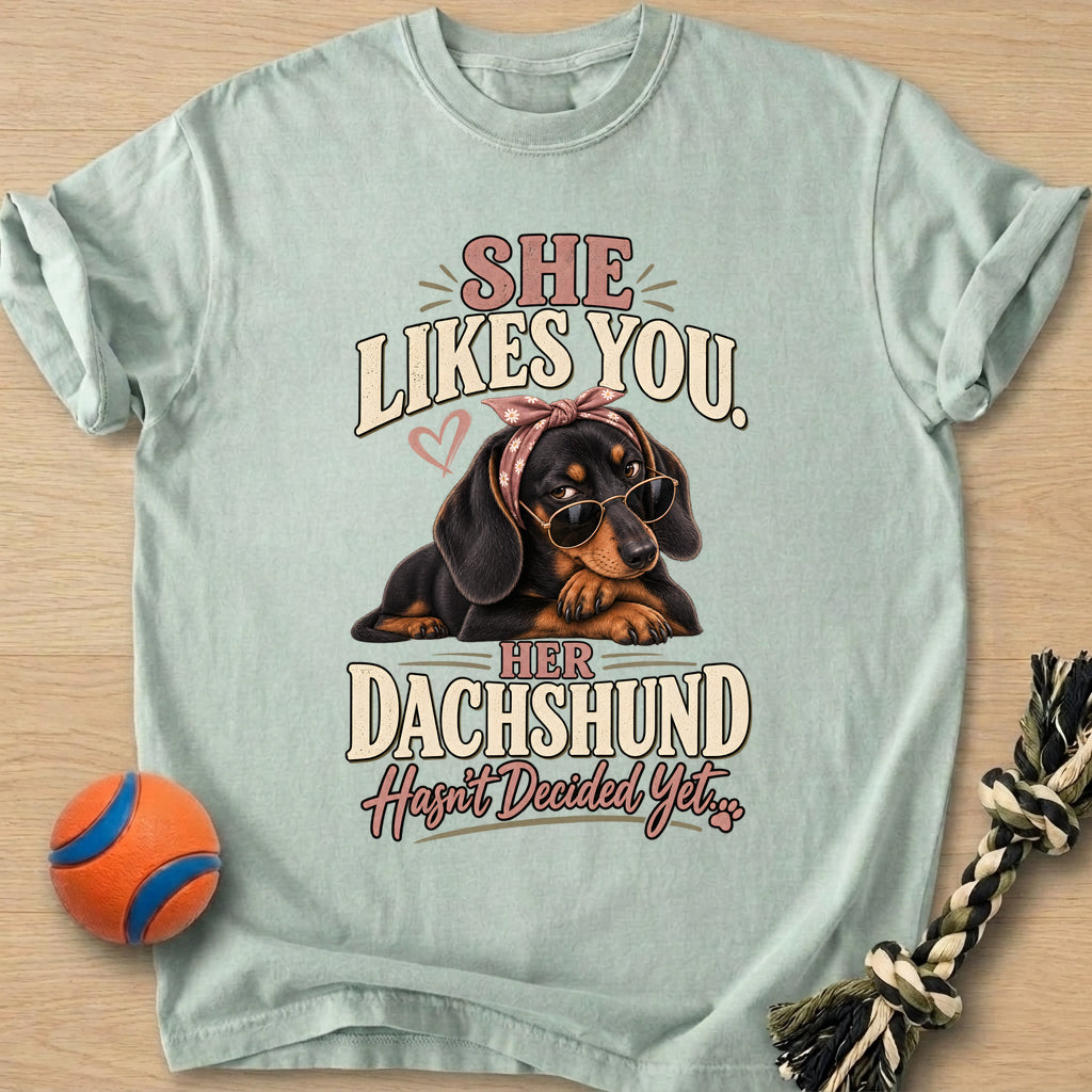 Doxie Decision T-Shirt – Bay t-shirt