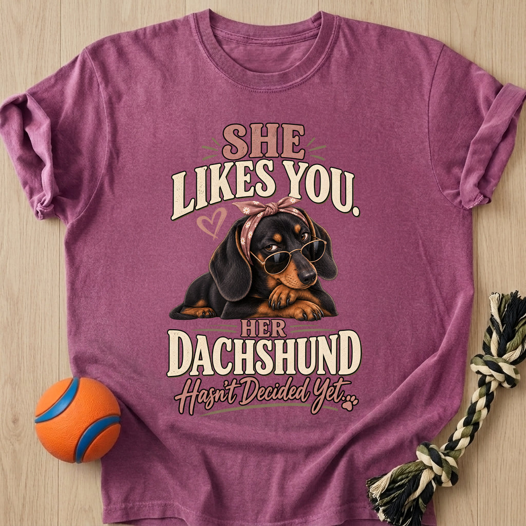 Doxie Decision T-Shirt – Berry t-shirt
