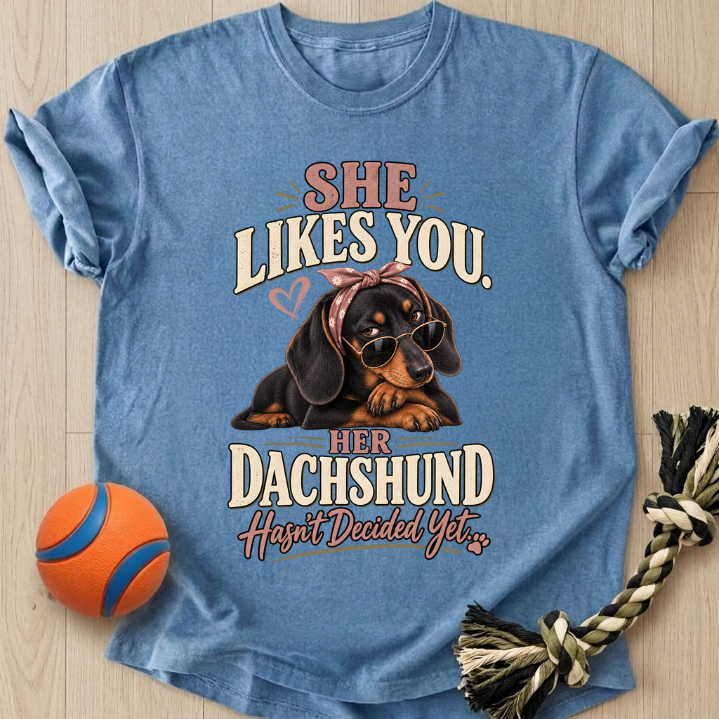 Doxie Decision T-Shirt – Bluejean t-shirt