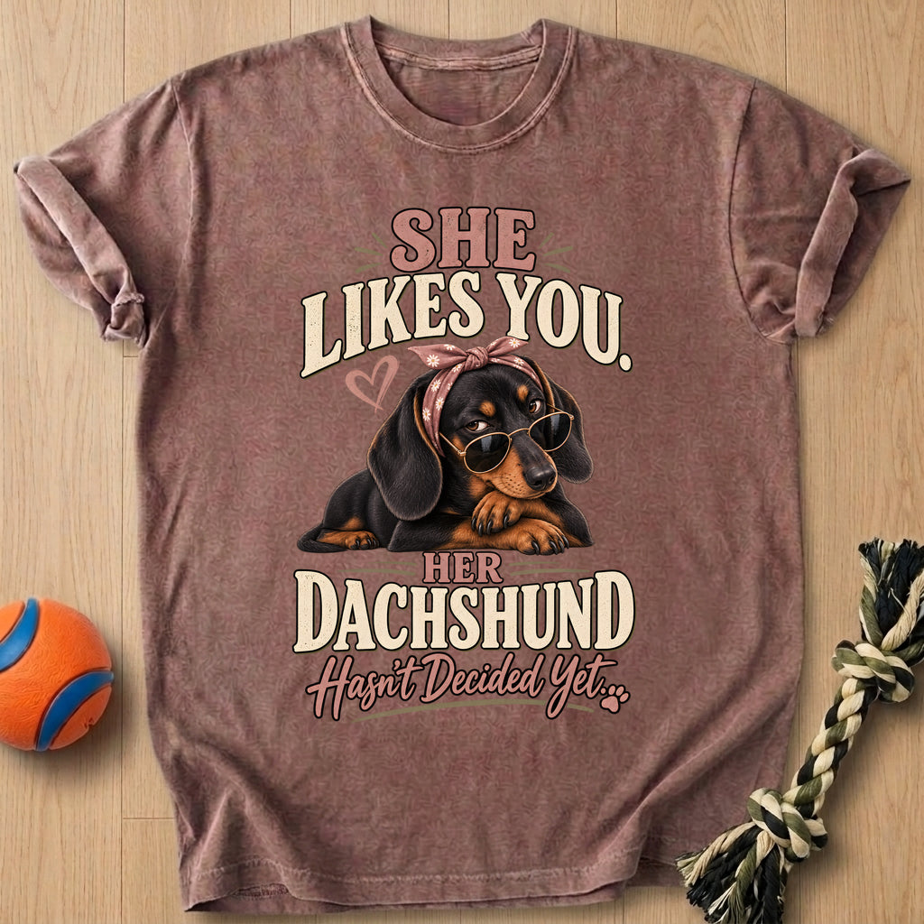 Doxie Decision T-Shirt – Espresso t-shirt