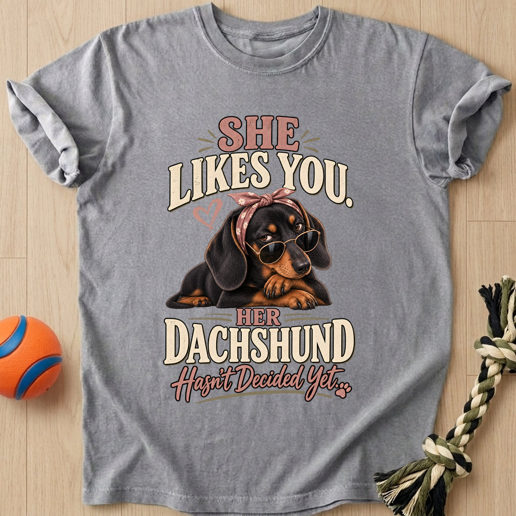 Doxie Decision T-Shirt – Grey t-shirt