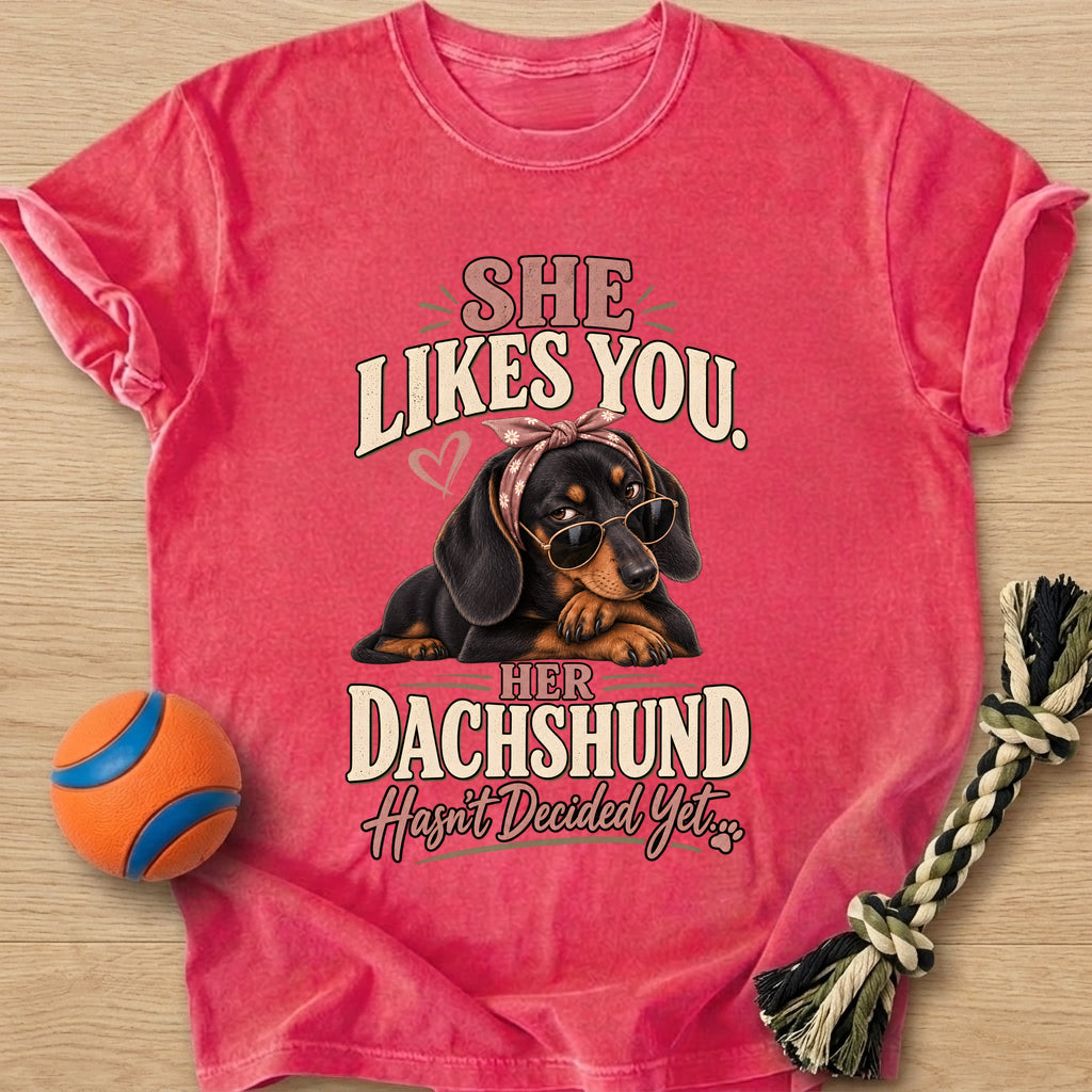 Doxie Decision T-Shirt – Watermelon t-shirt