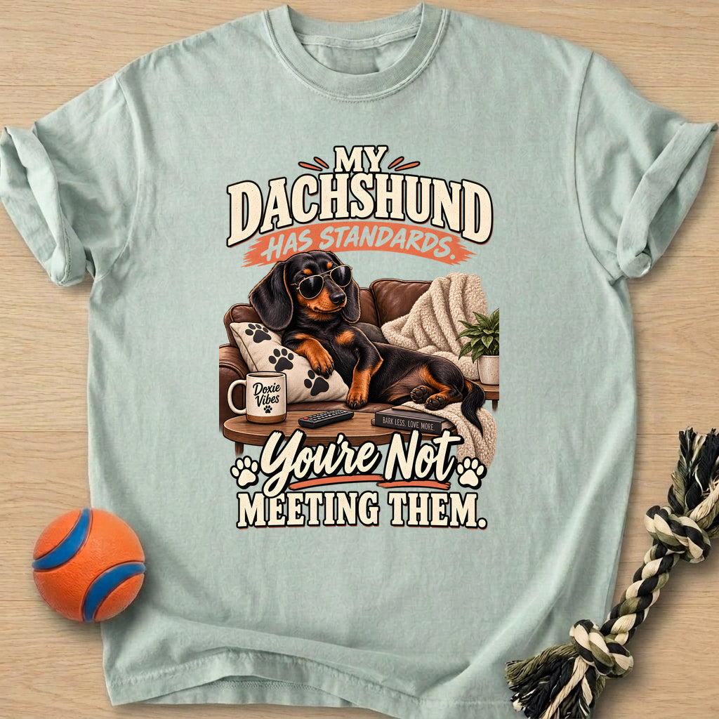 Doxie Standards T-Shirt – Bay t-shirt