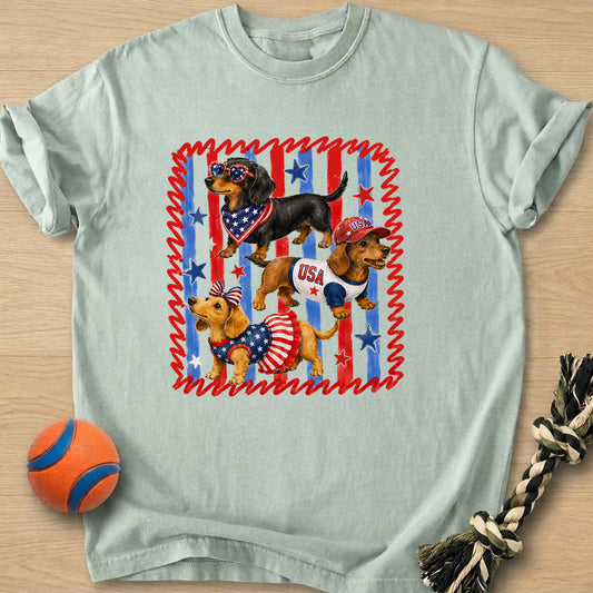 Doxie Usa T-Shirt – Bay t-shirt