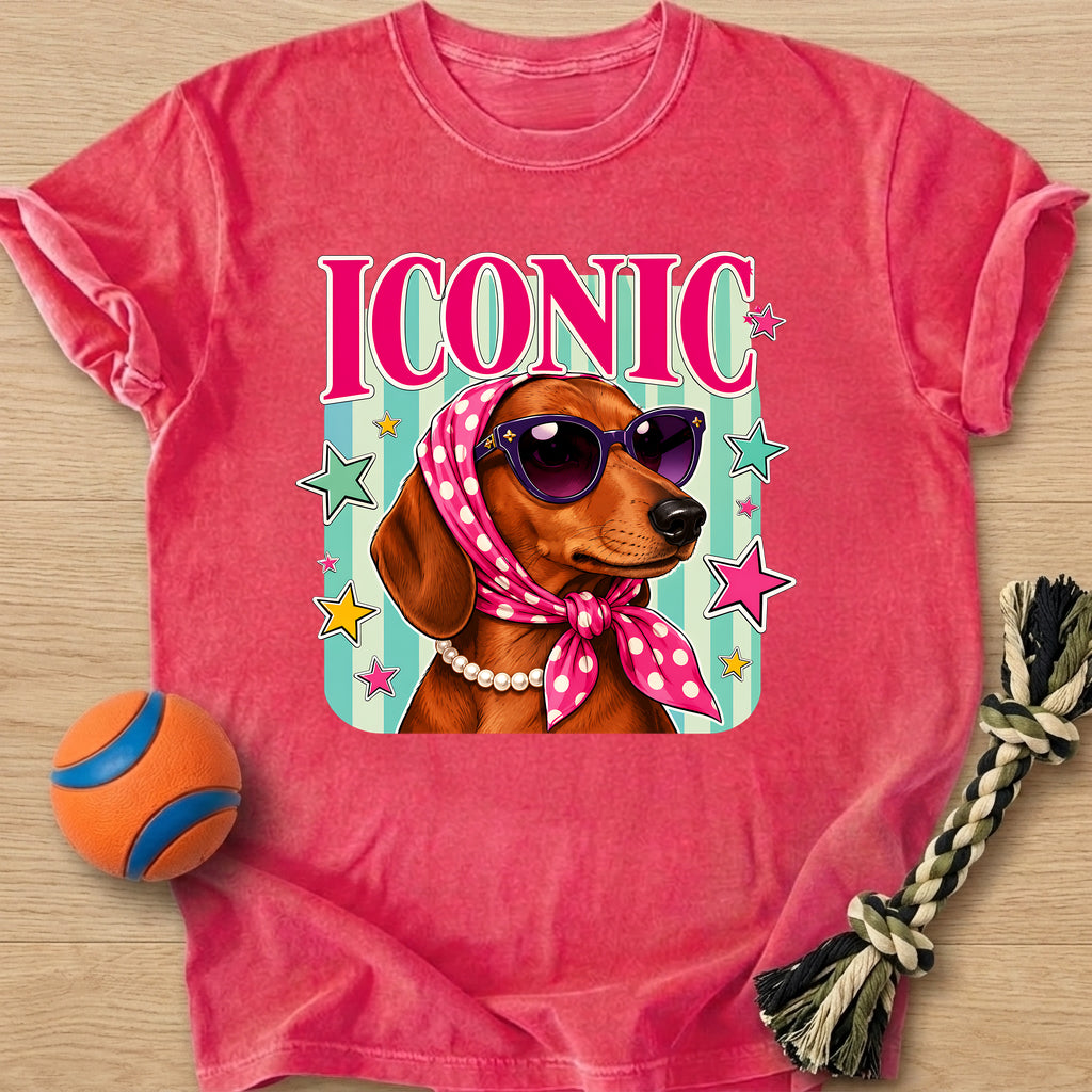 Iconic Weenie T-Shirt – Watermelon t-shirt