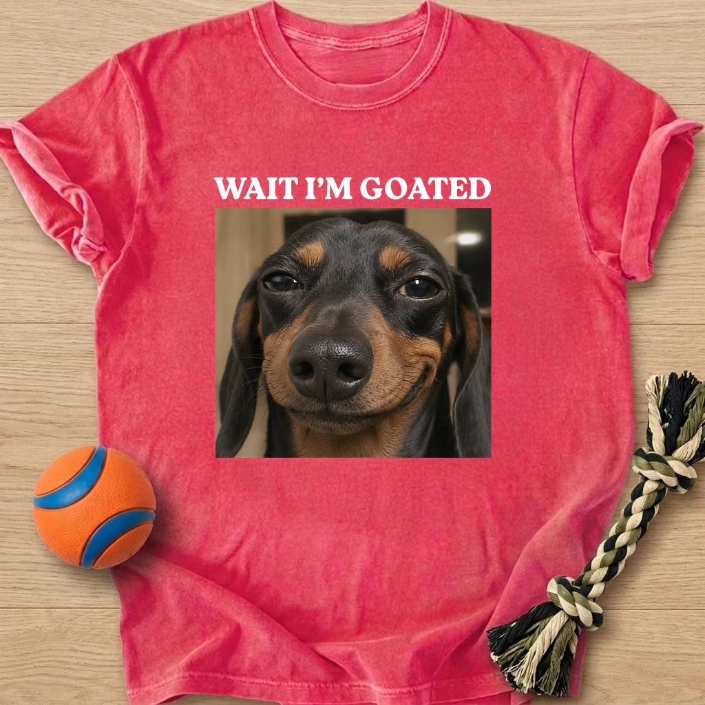I'm Goated T-Shirt – Watermelon t-shirt
