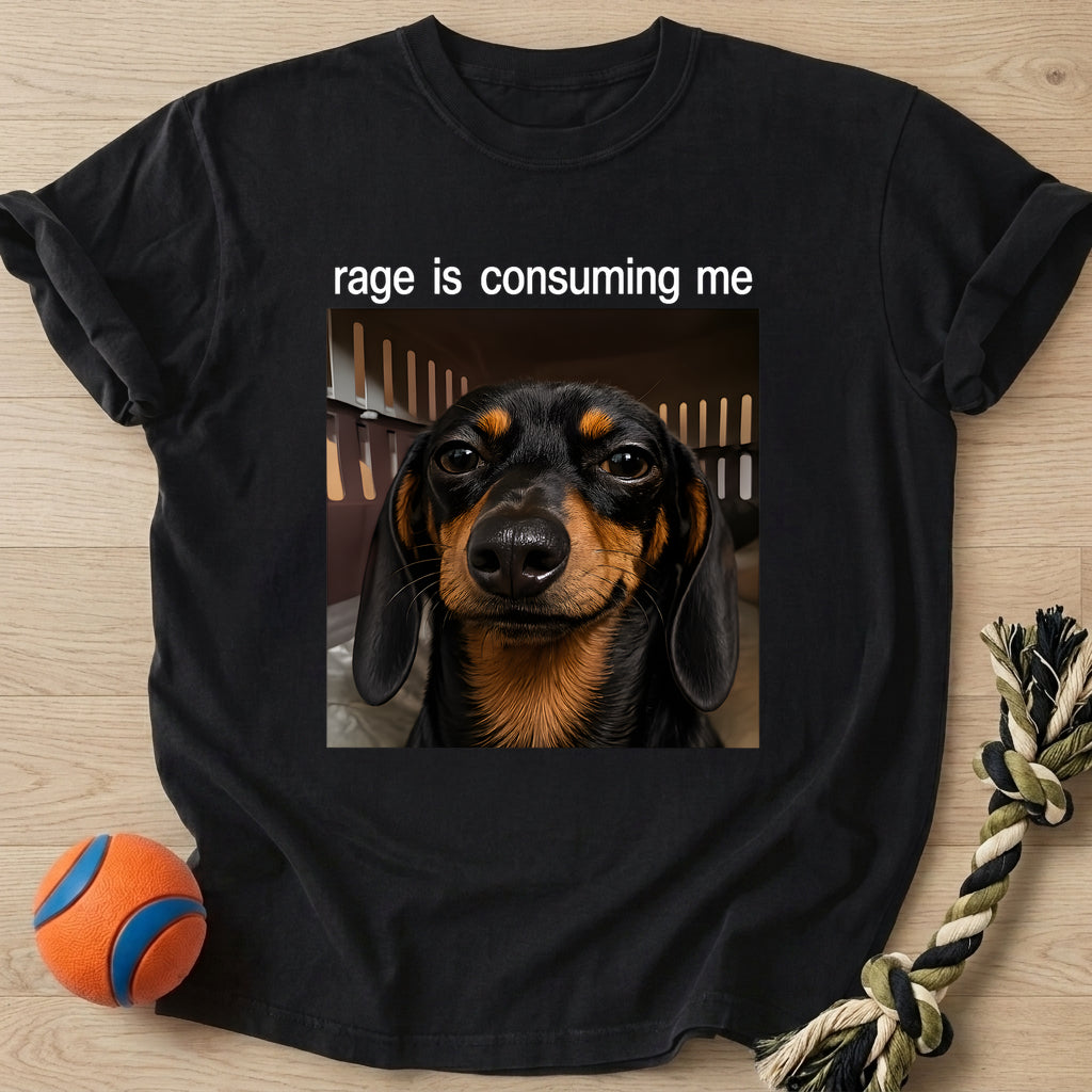 Inner Rage T-Shirt – Black t-shirt