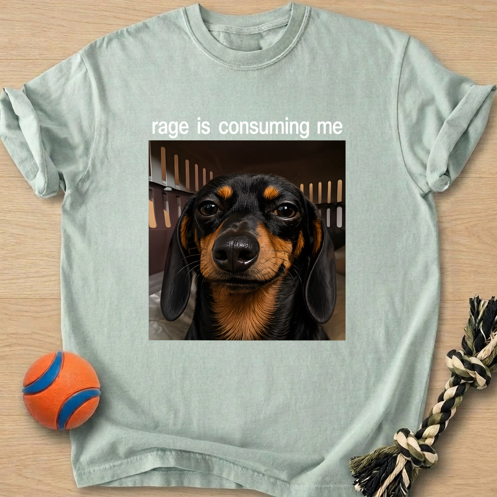 Inner Rage T-Shirt – Bay t-shirt