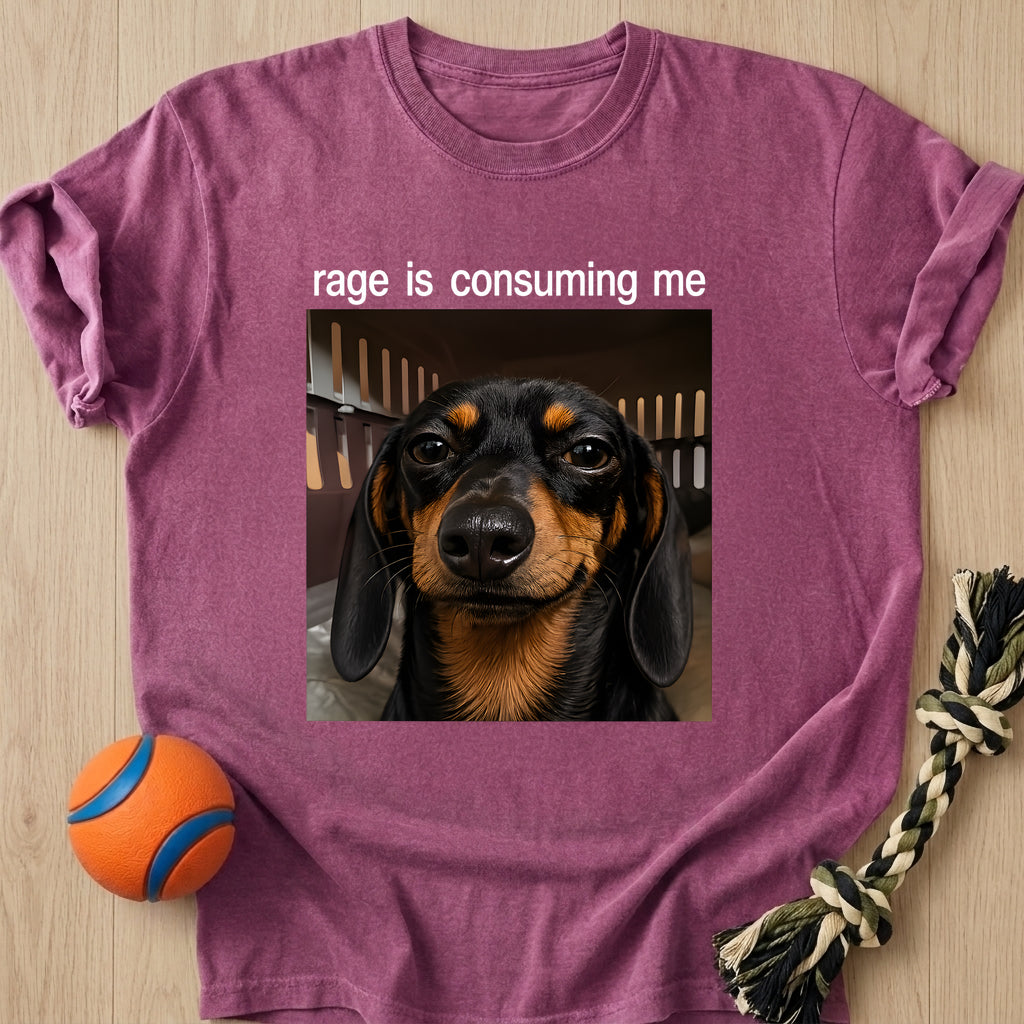 Inner Rage T-Shirt – Berry t-shirt