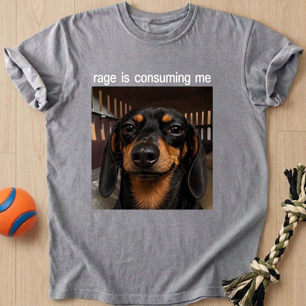 Inner Rage T-Shirt – Grey t-shirt