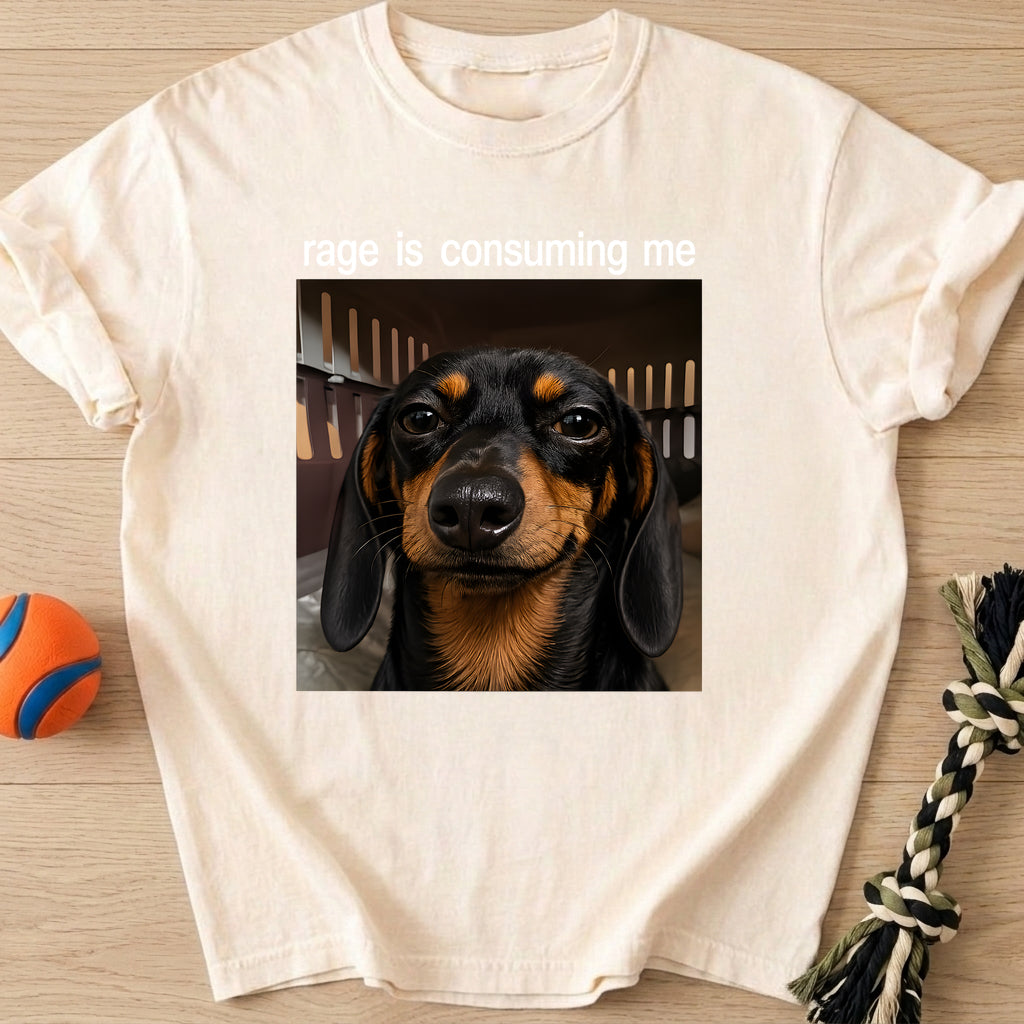 Inner Rage T-Shirt – Ivory t-shirt