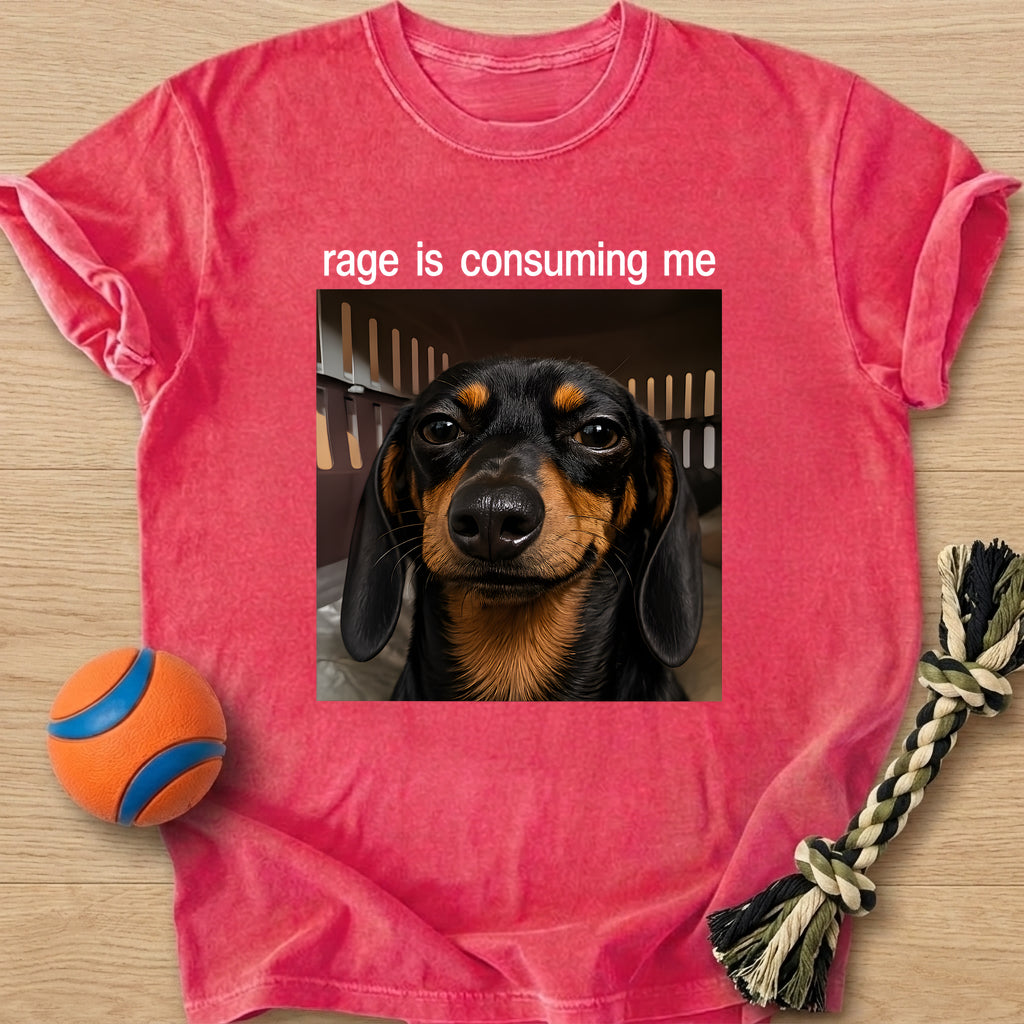 Inner Rage T-Shirt – Watermelon t-shirt