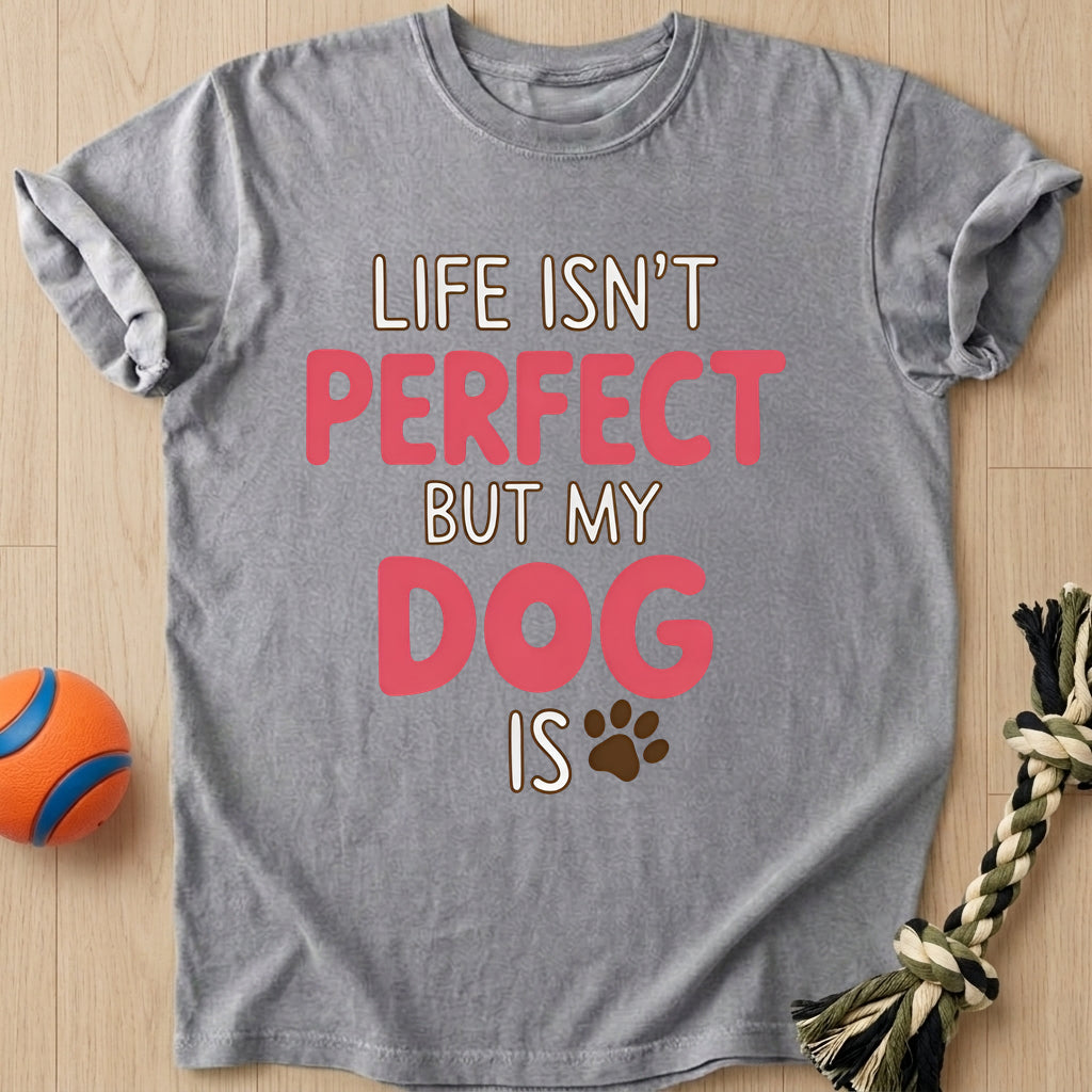 Life Isn't Perfect T-Shirt – Grey t-shirt