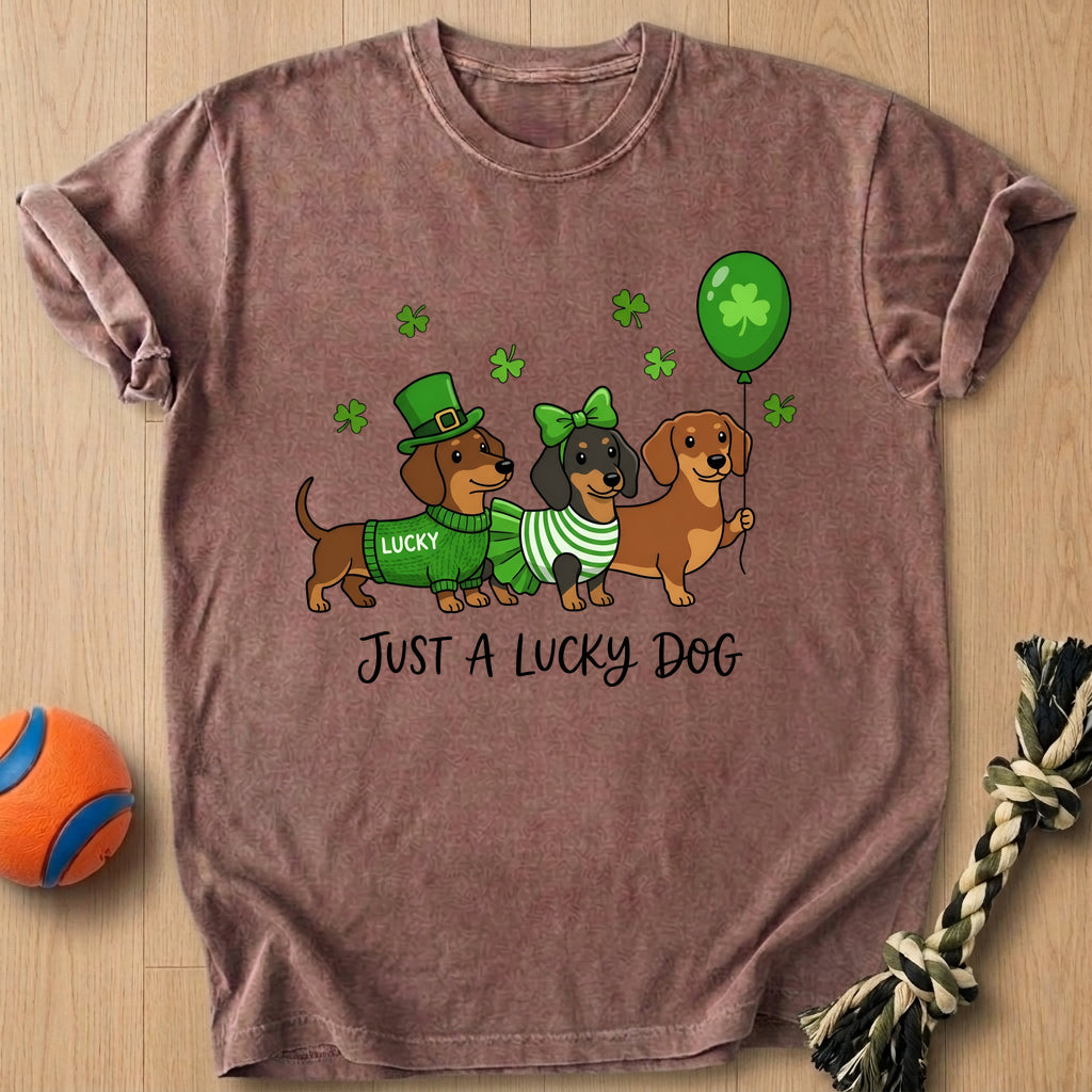 Lucky Dog T-Shirt – Espresso t-shirt