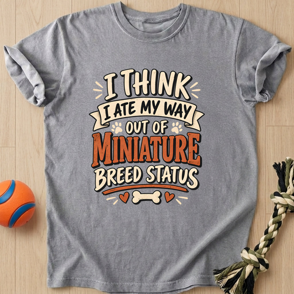 Miniature Status T-Shirt – Grey t-shirt