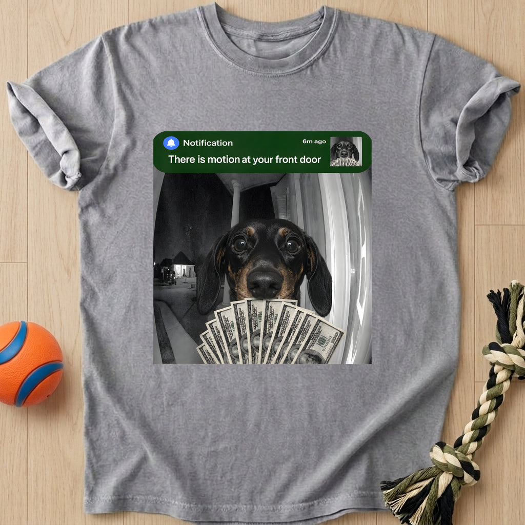 Motion Detected T-Shirt – Grey t-shirt