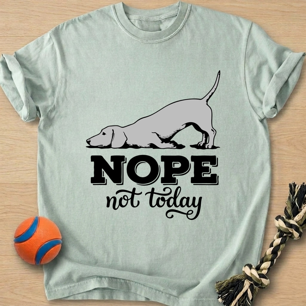 Nope Not Today T-Shirt – Bay t-shirt