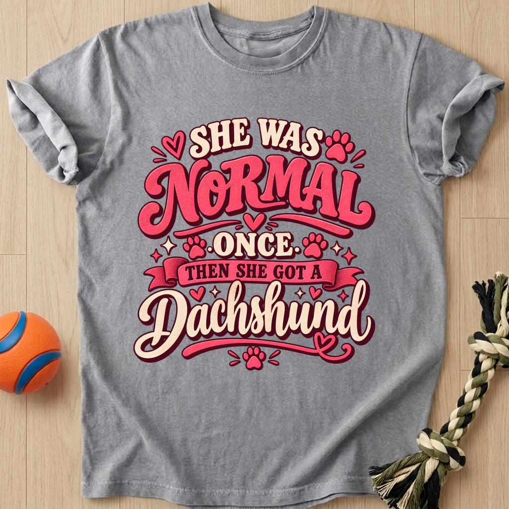 Normal Once T-Shirt – Grey t-shirt