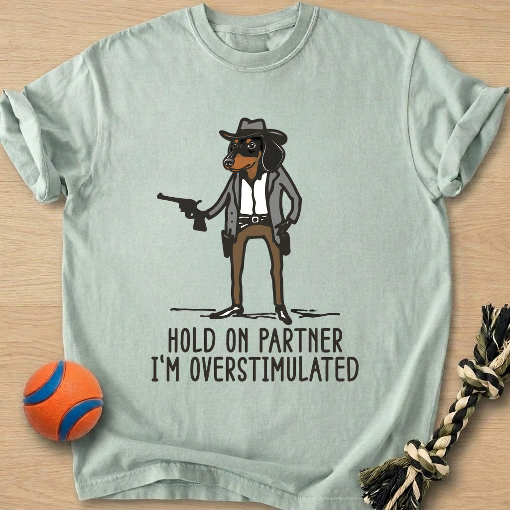 Overstimulated T-Shirt – Bay t-shirt