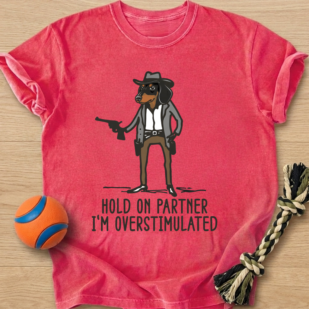 Overstimulated T-Shirt – Watermelon t-shirt