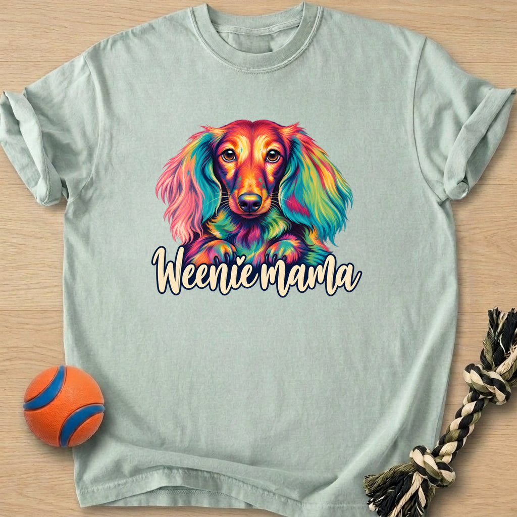 Rainbow Doxie T-Shirt – Bay t-shirt