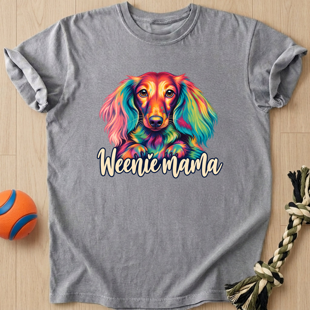 Rainbow Doxie T-Shirt – Grey t-shirt