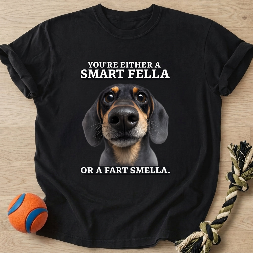 Smartfella T-Shirt – Black t-shirt