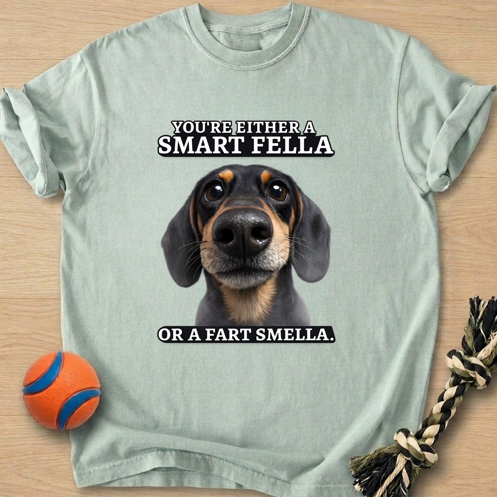 Smartfella T-Shirt – Bay t-shirt