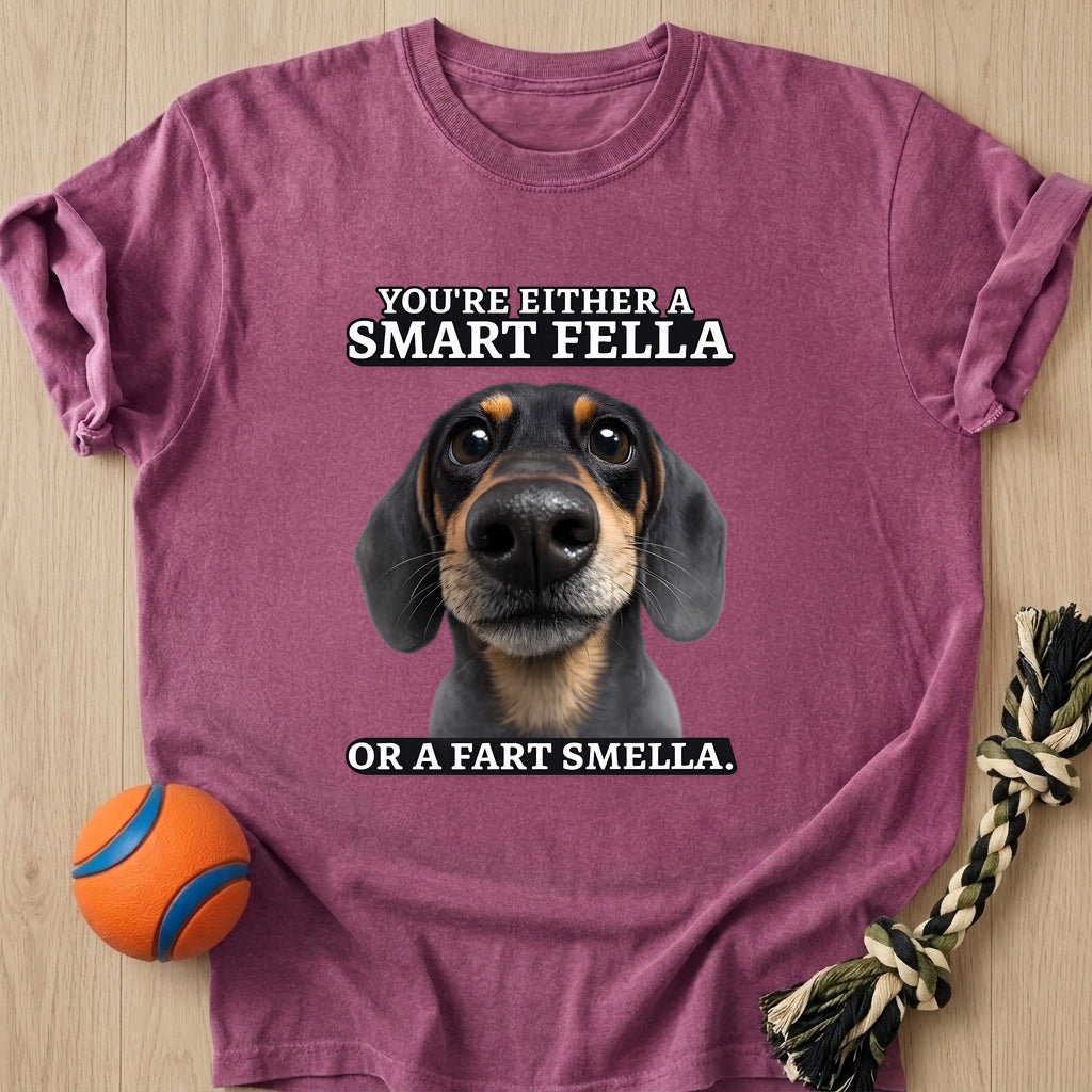 Smartfella T-Shirt – Berry t-shirt