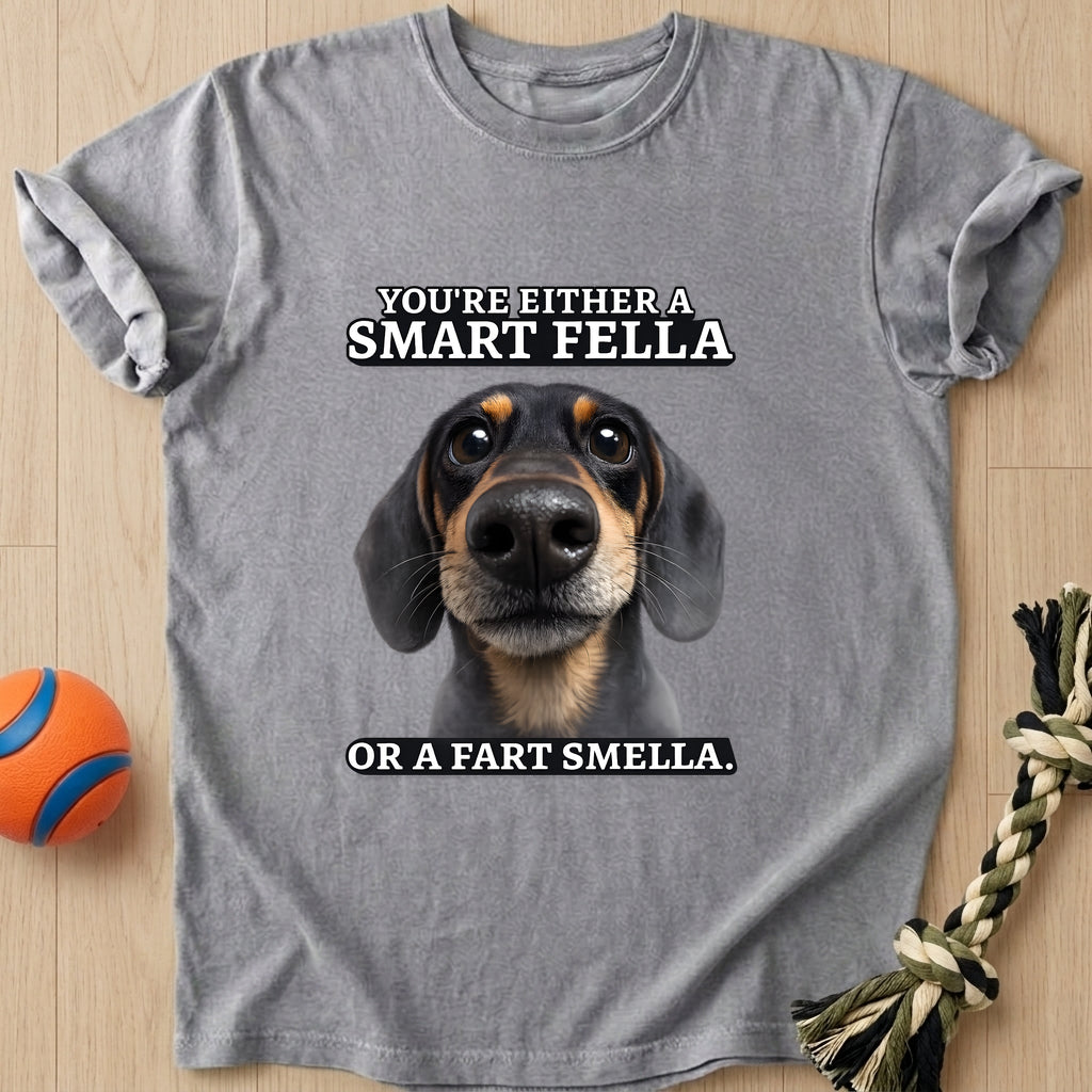 Smartfella T-Shirt – Grey t-shirt