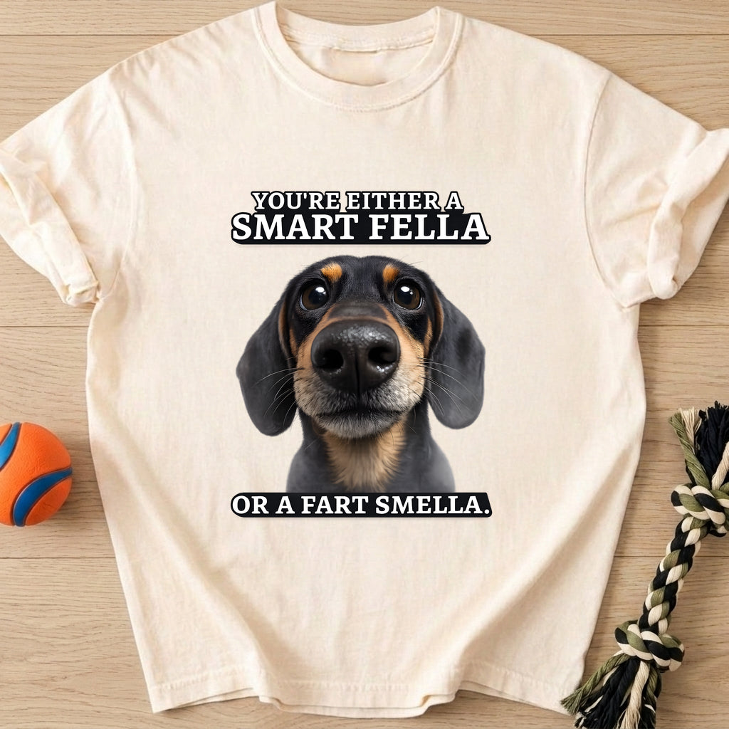 Smartfella T-Shirt – Ivory t-shirt
