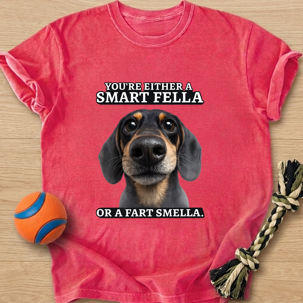 Smartfella T-Shirt – Watermelon t-shirt