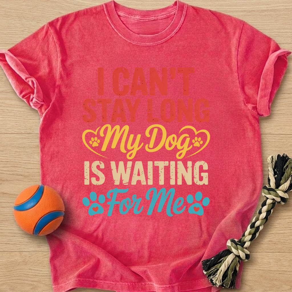 Stay Long T-Shirt – Watermelon t-shirt