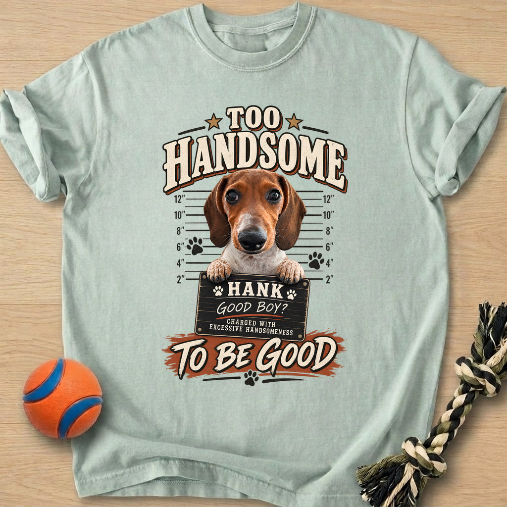 Too Handsome T-Shirt – Bay t-shirt