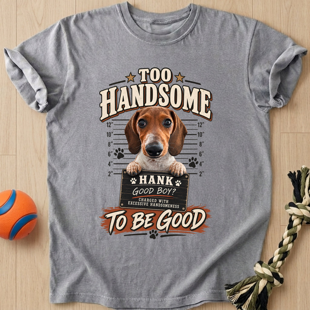 Too Handsome T-Shirt – Grey t-shirt